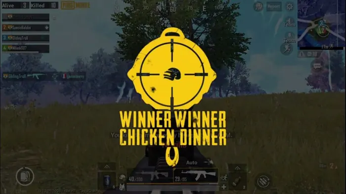 Chicken Dinner PUBG Quiz